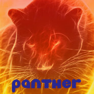 Moi | Panther